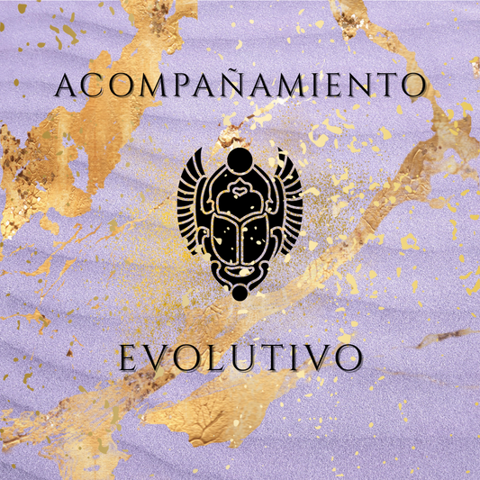 Acompañamiento Evolutivo